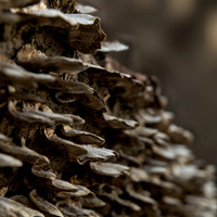 Balconies